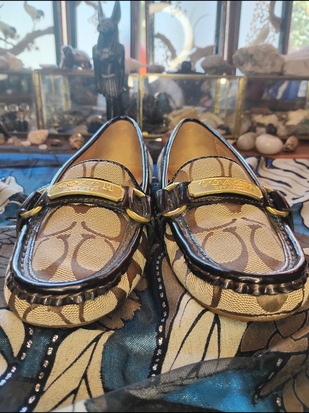 Coach Brown Signature Canvas Loafers with Dark Brown Trim - Picture 6 of 16